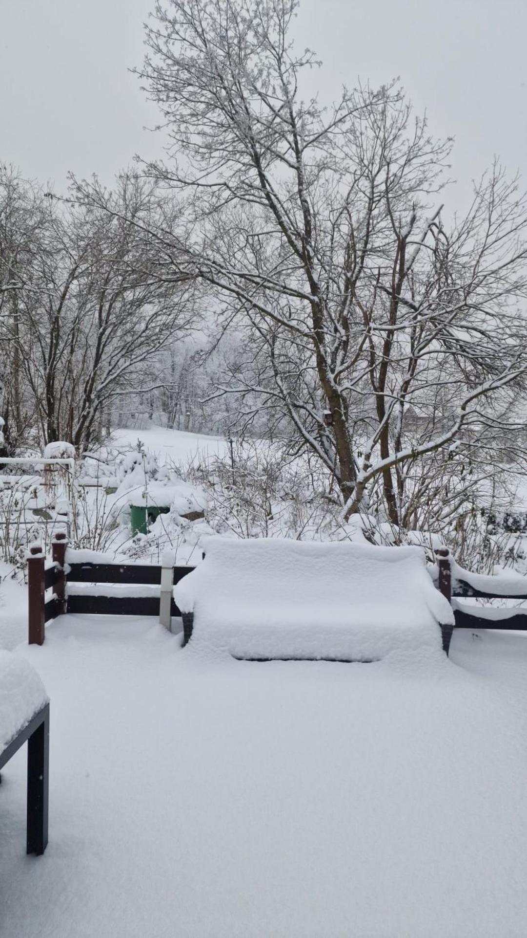 Mikes Fewo Braunlage Dış mekan fotoğraf